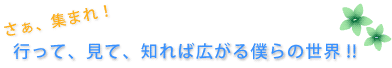 さぁ、集まれ！